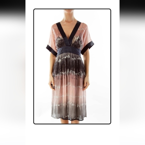 BCBGMaxAzria Dresses & Skirts - BCBGMAXAZRIA | Shimmer Silk Chiffon Cape Kimono Dress ~ Pink, Navy, Gold Ombre
